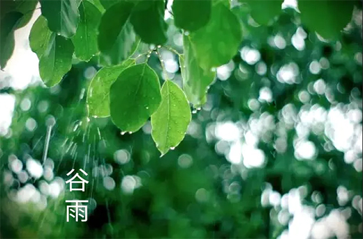 TI | ꣺rĺٹ