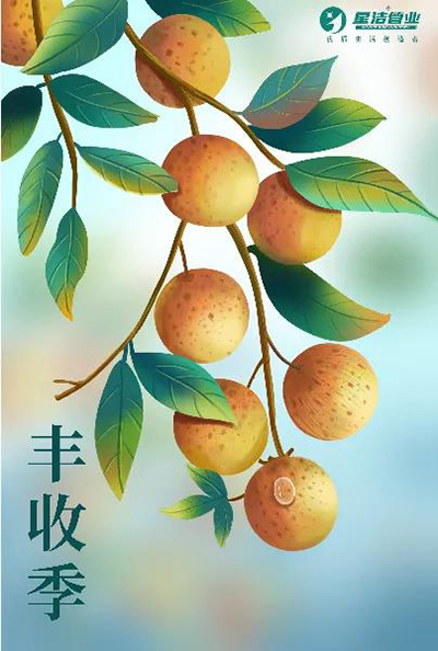 星潔管業：秋天是個收獲的季節