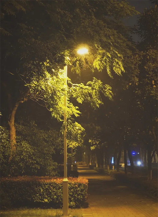 LED·lĳɫ