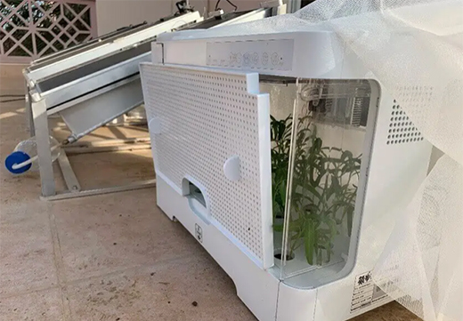太陽能電池板在發電的同時灌溉植物?
