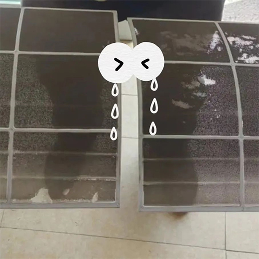 LmůP{PӋs