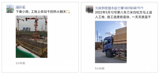 原木“量”“價”問題突顯，終端木材價格或受影響