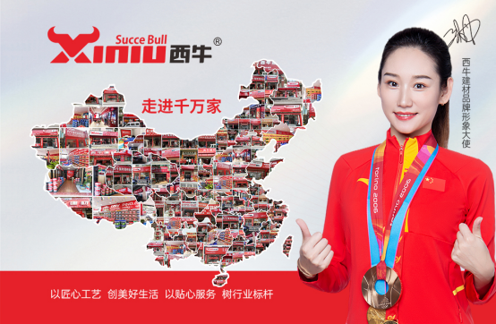 西牛建材丨新國標時代，如何推動行業高質量發展？